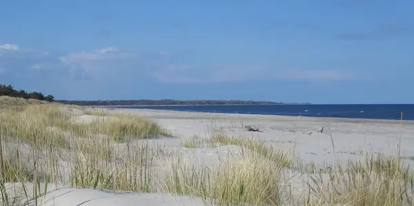 Borrby strand